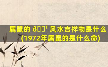 属鼠的 🌹 风水吉祥物是什么(1972年属鼠的是什么命)
